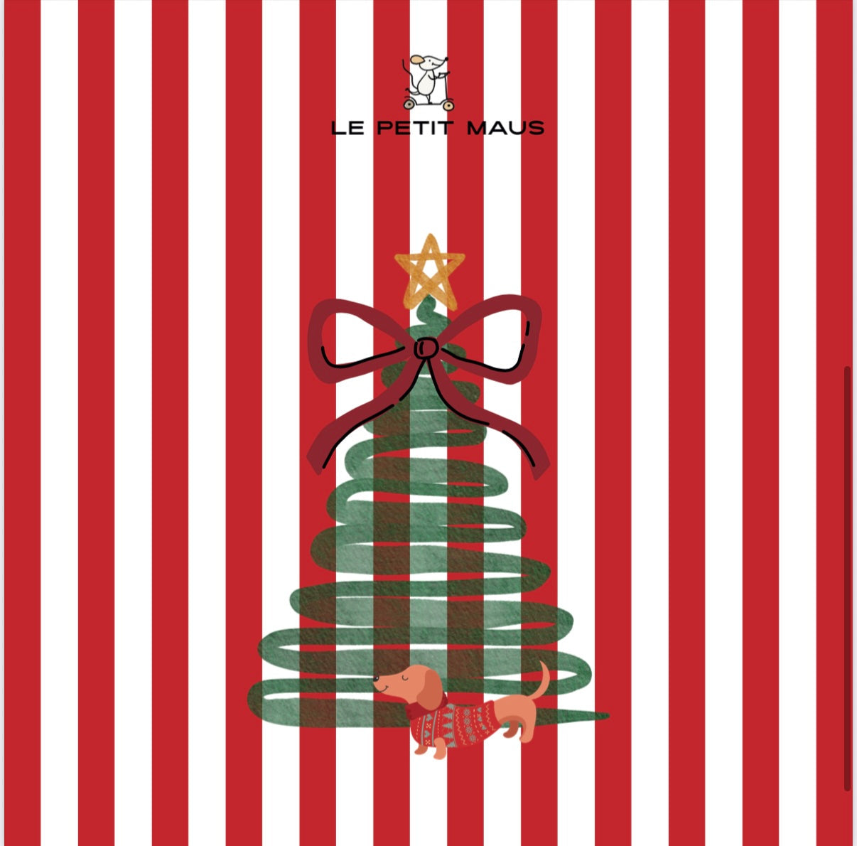 LIMITED EDITION CHRISTMAS 2 SWADDLE BUNDLE