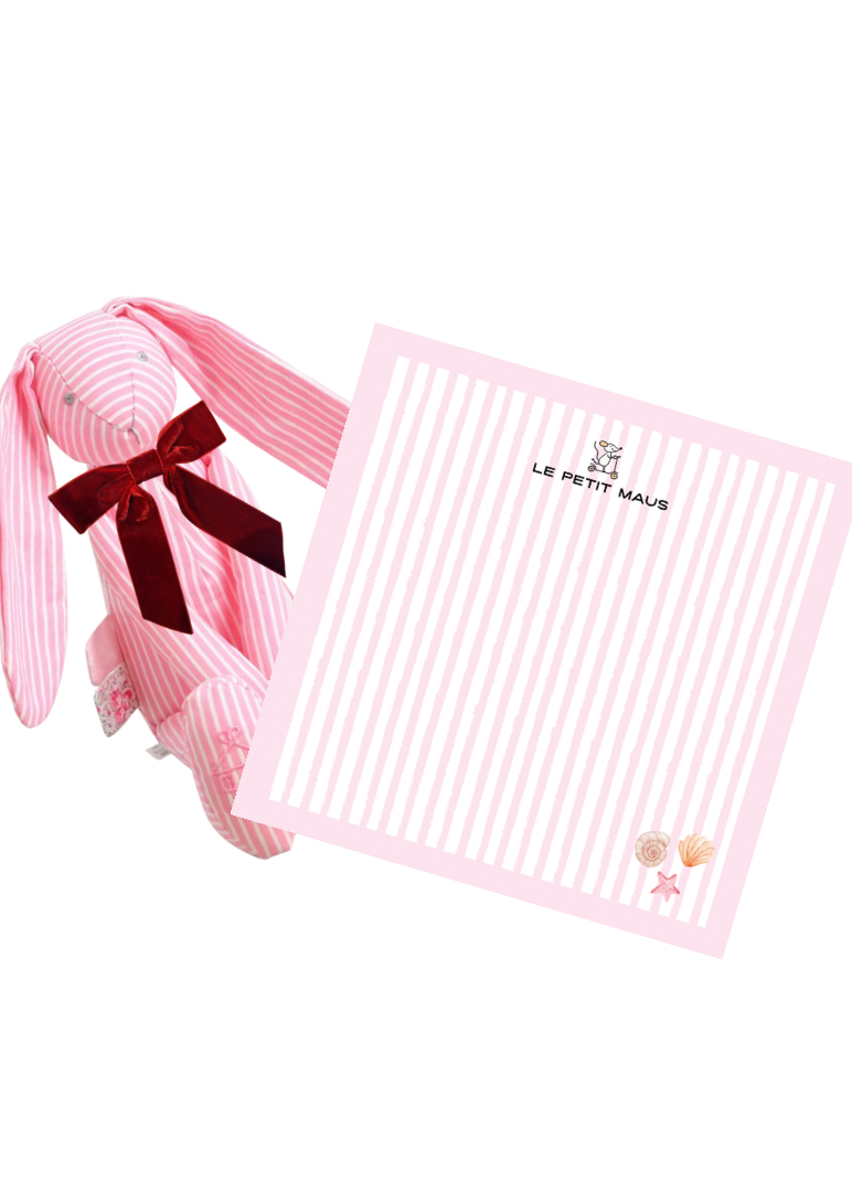 BEACH DAY BUNDLE LARA LAPIN AND MATCHING STRIPEY SWADDLE
