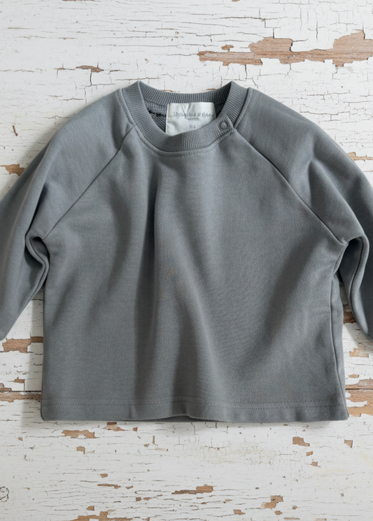 Cotton Sweatshirt in Blue