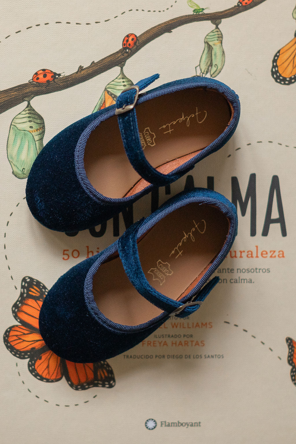Mary Jane Velvet Deluxe in Blue