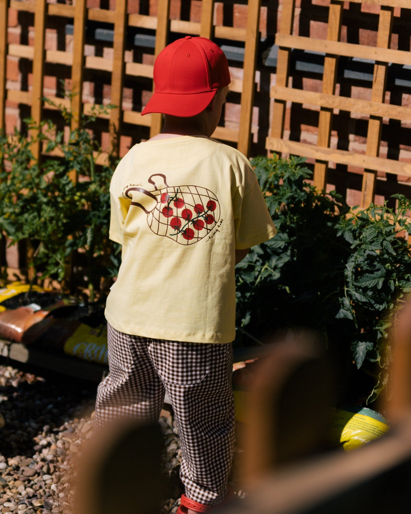 Homegrown Boxy Tee