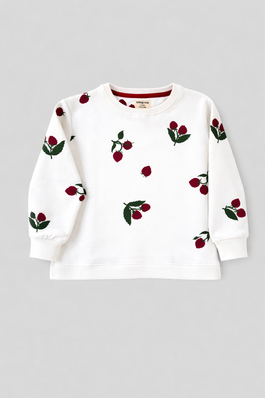 Raspberry Patch Sweater