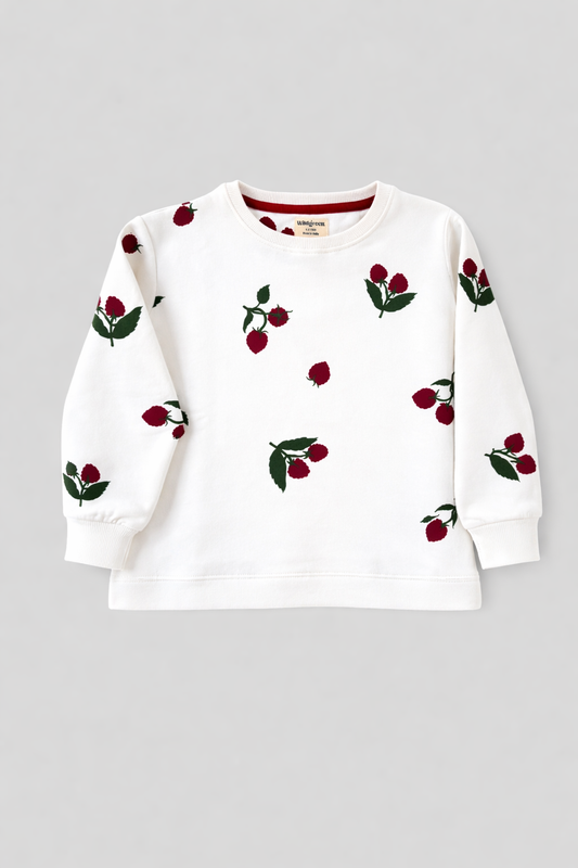 Raspberry Patch Sweater