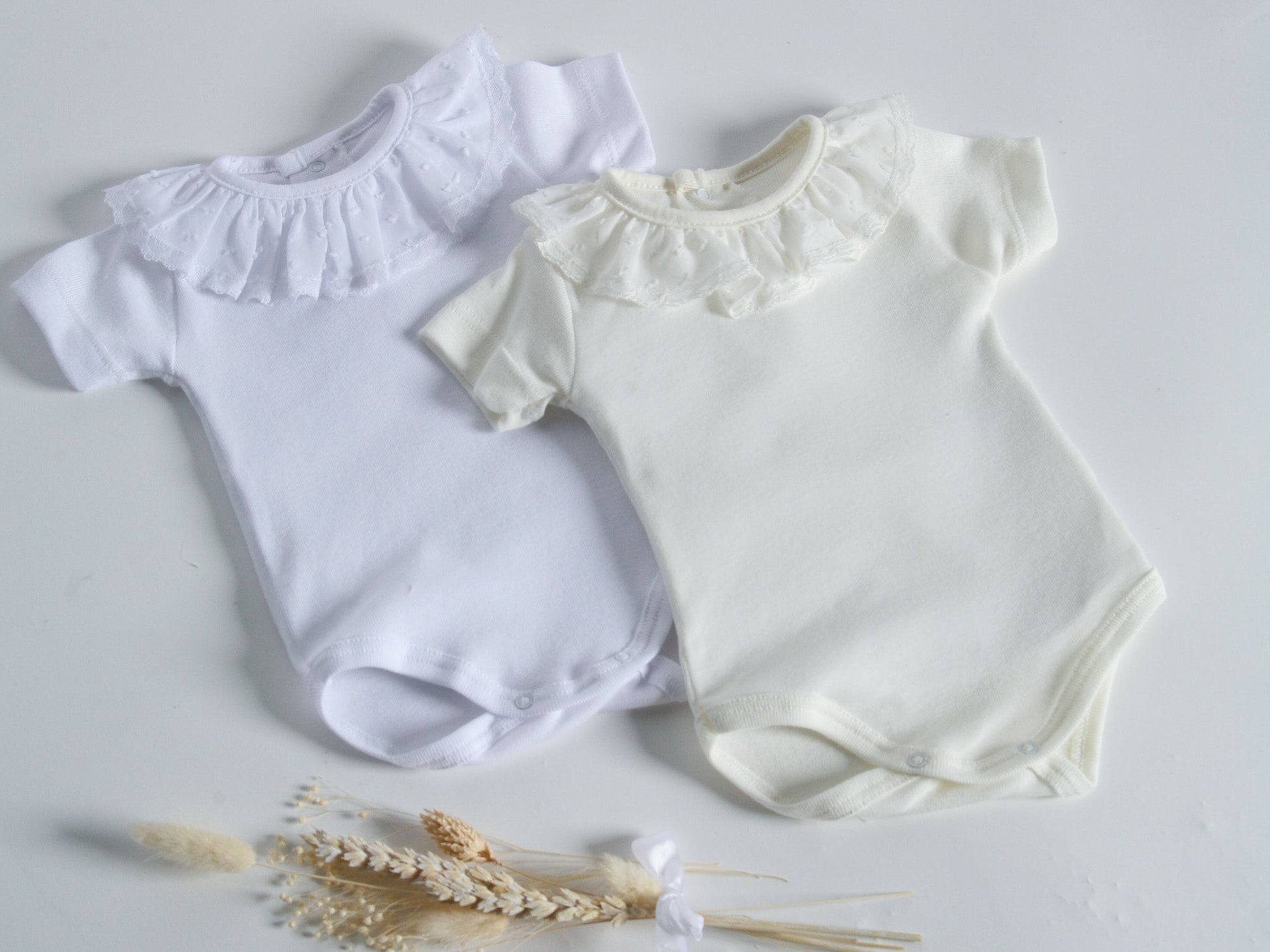 Calamaro Baby Ivory Plumetti Collar Short Sleeve Vest - Rose & Albert