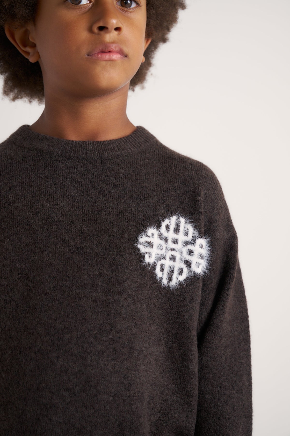 JUNIOR EMBLEM FLUFFY KNIT CREW - BROWN