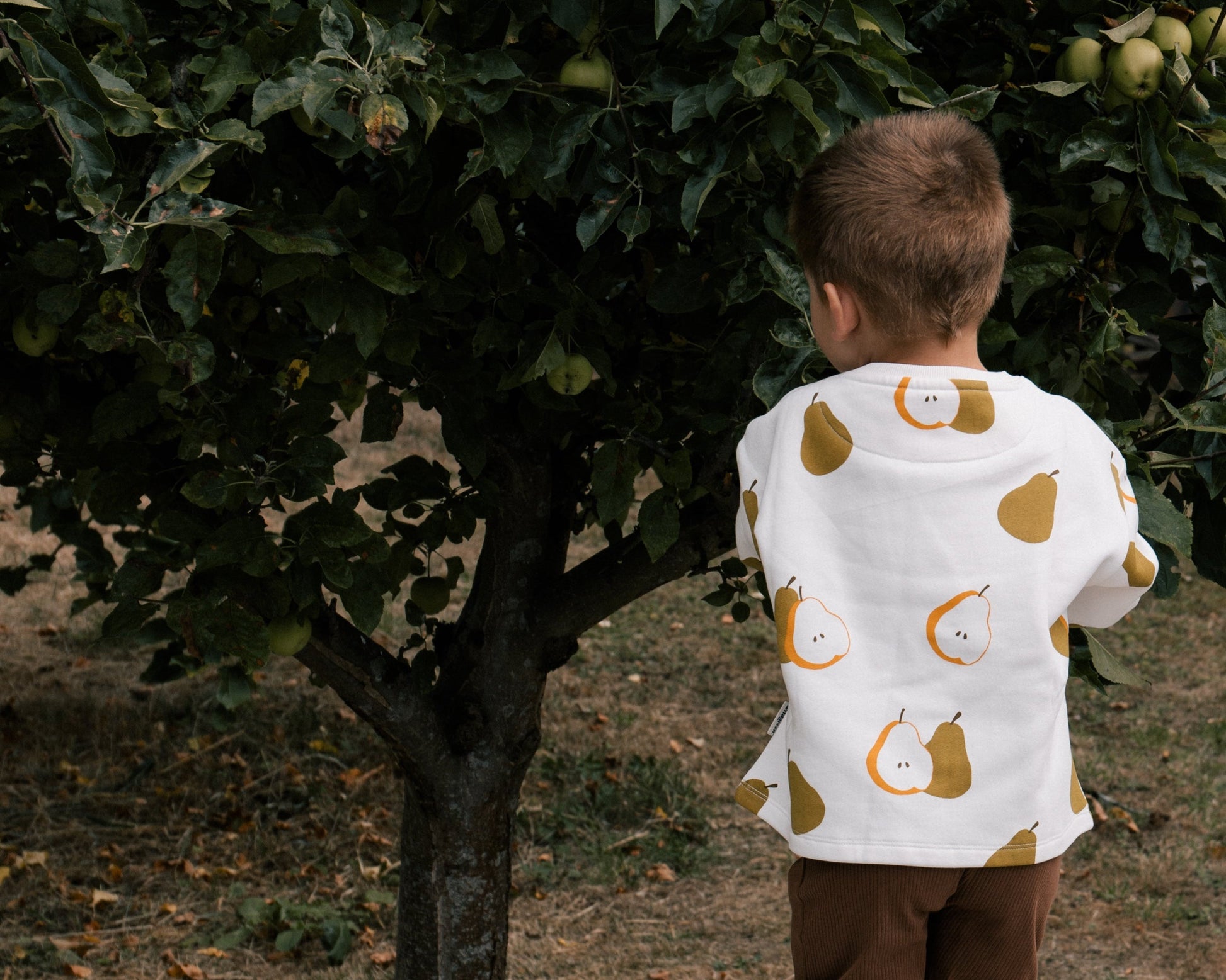 Toddler wearing Wildgreen Autumn Pear print sweater made from organic undyed cotton, unisex and gender-neutral sustainable kidswear, whilst apple picking