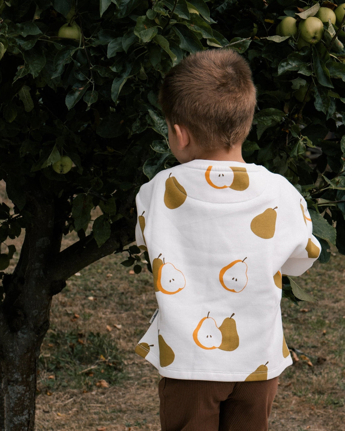 Toddler wearing Wildgreen Autumn Pear print sweater made from organic undyed cotton, unisex and gender-neutral sustainable kidswear, whilst apple picking