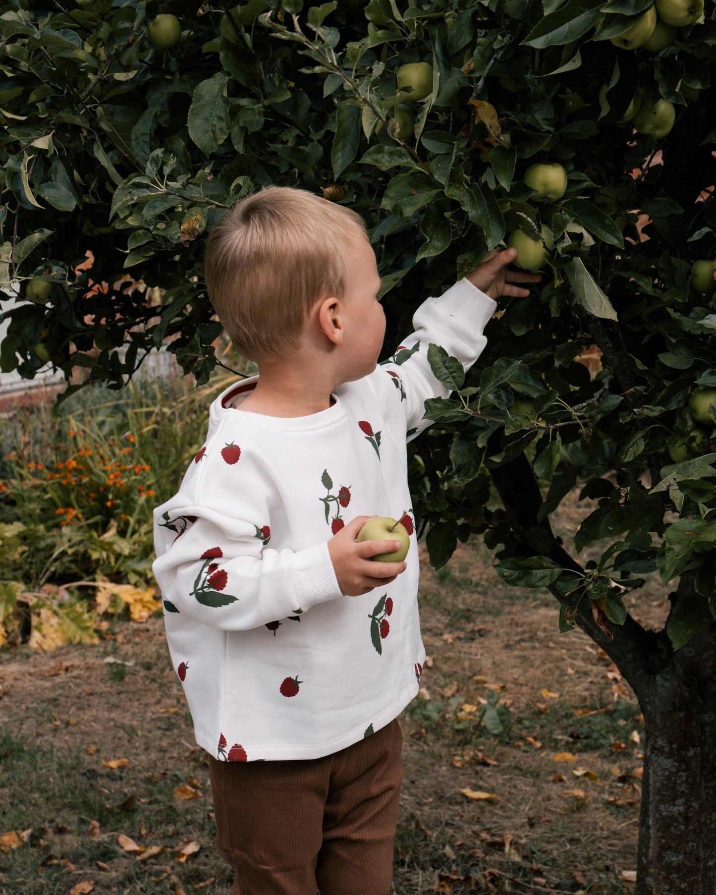 Boy wearing Wildgreen raspberry print sweater made from 100% organic cotton, unisex and gender-neutral sustainable kidswear
