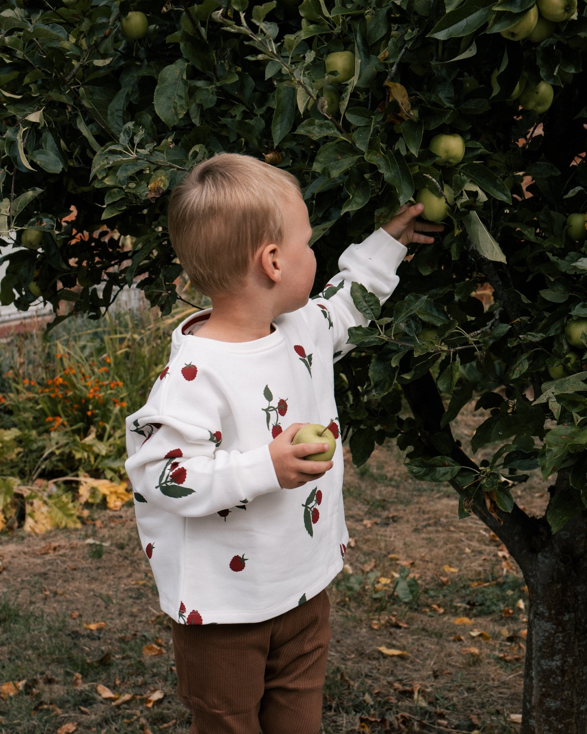 Boy wearing Wildgreen raspberry print sweater made from 100% organic cotton, unisex and gender-neutral sustainable kidswear