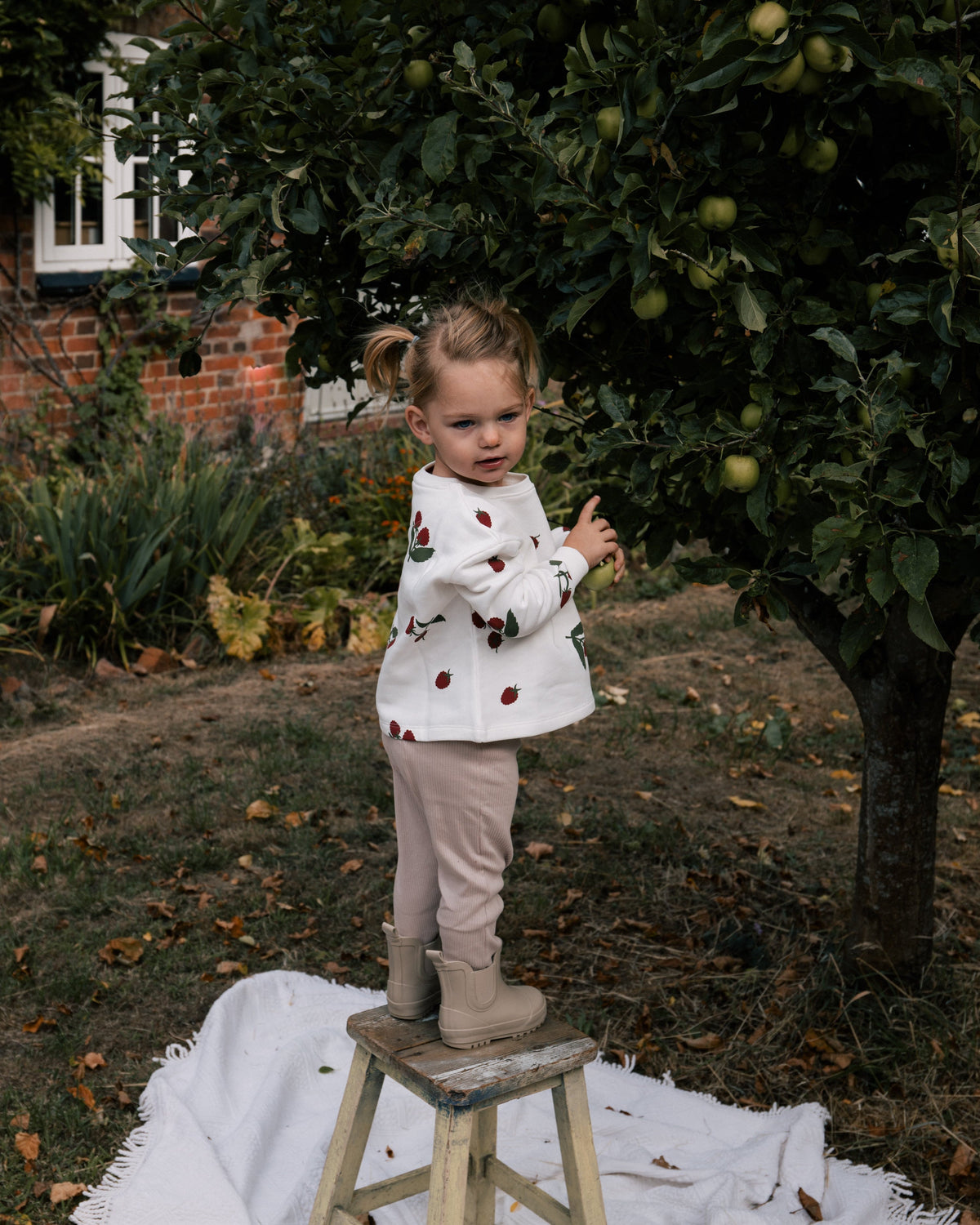 Toddler wearing Wildgreen raspberry print sweater made from organic cotton whilst apple-picking, unisex and gender-neutral sustainable kidswear