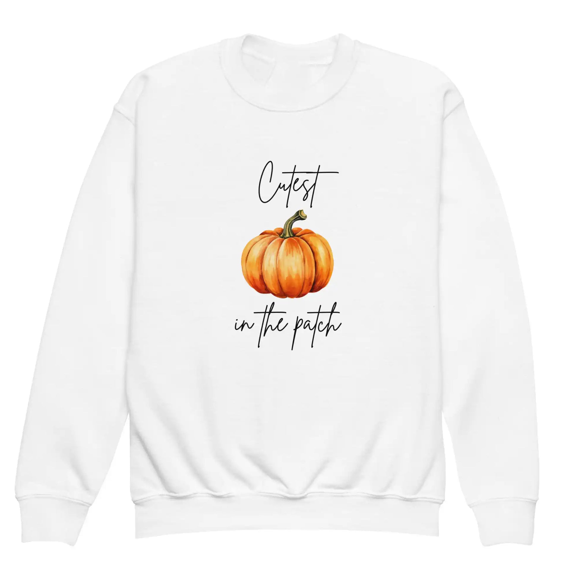 Cutest Pumpkin In The Patch Sweatshirt Cozy Crew Club OL Jumpers mora-uk.myshopify.com two-cute-2nd-birthday-sweatshirt-personalised-copy   10off, Baby, birthday, excludefromwssistock, halloween, sweatshirt, two, uk  Cutest Pumpkin In The Patch Sweatshirt Cozy Crew Club OL Jumpers mora-uk.myshopify.com two-cute-2nd-birthday-sweatshirt-personalised-copy   10off, Baby, birthday, excludefromwssistock, halloween, sweatshirt, two, uk